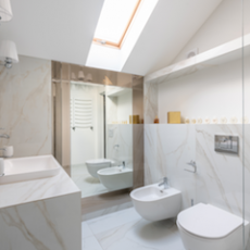 10 Reasons to Install a Bidet in your Home